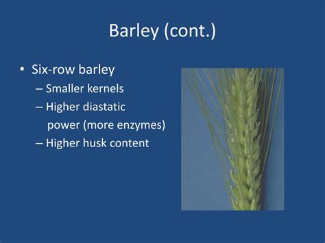 barley malt vs non diastatic malts.